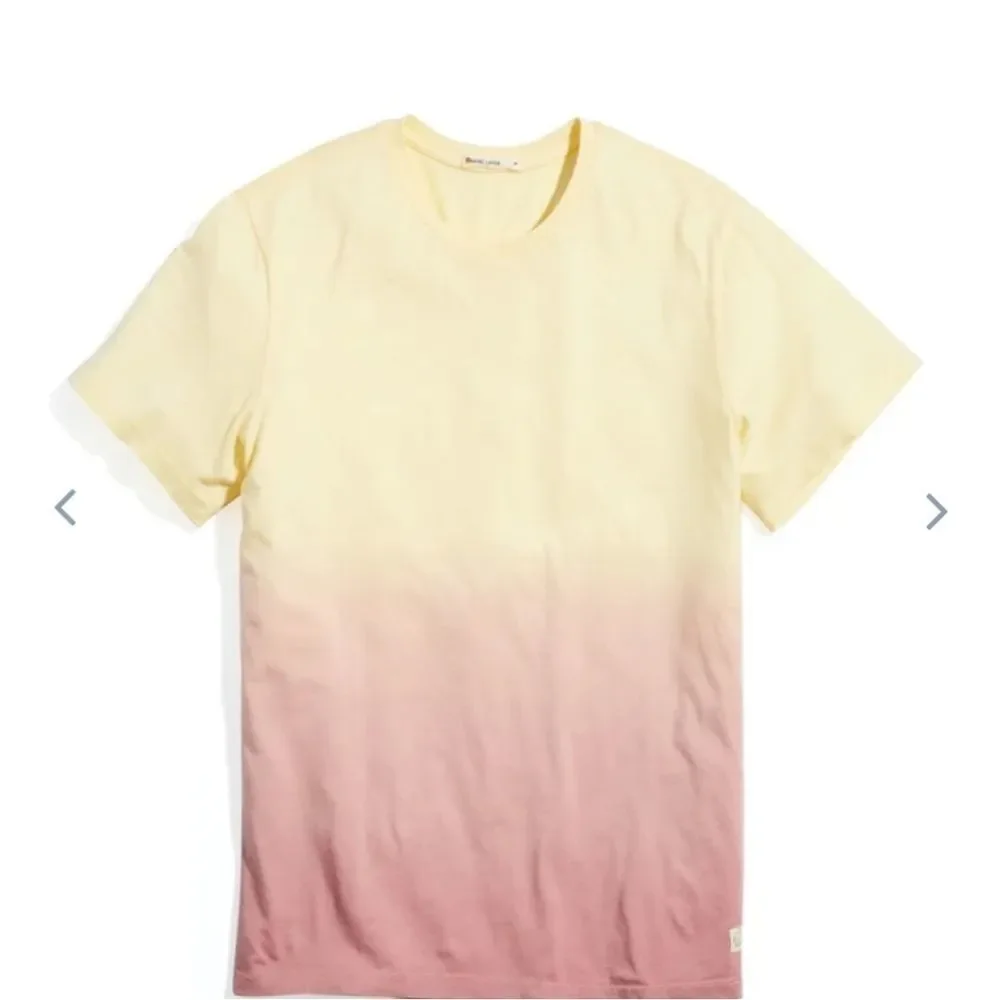 Marine layer Signature Crew Tee in Warm Ombre